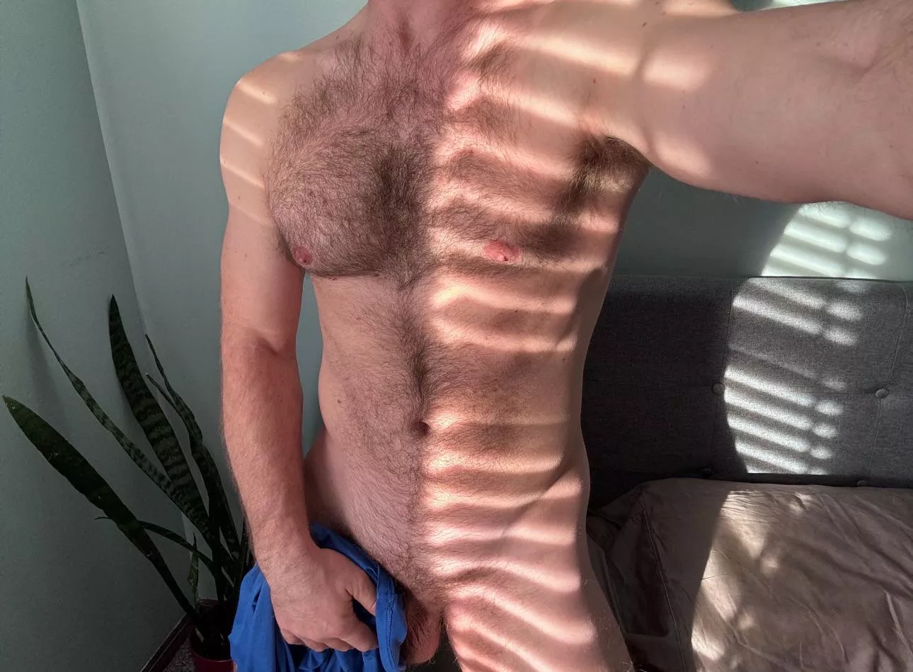 Do you like waking up to fresh sunlight? [37] posted by Firestorm_Pines_3363