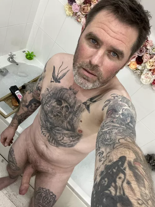 Evening by Effective-Voice5902