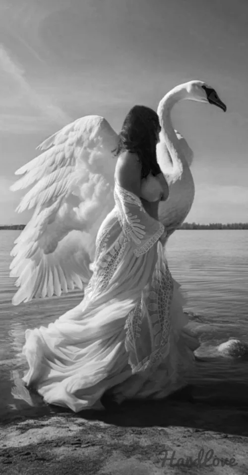 🔥🔥🎶Fly with us, through the trees🎶 Over sand, overseas🎶 by Proud-Engineering-22