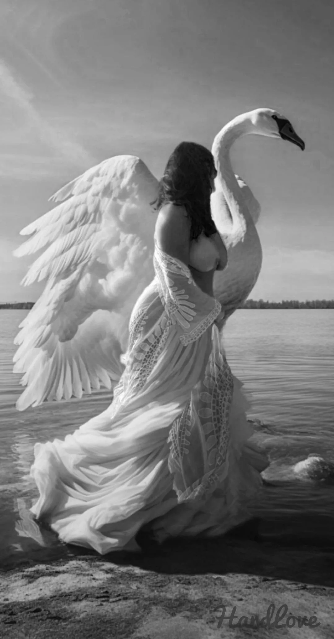 🔥🔥🎶Fly with us, through the trees🎶 Over sand, overseas🎶 posted by Proud-Engineering-22