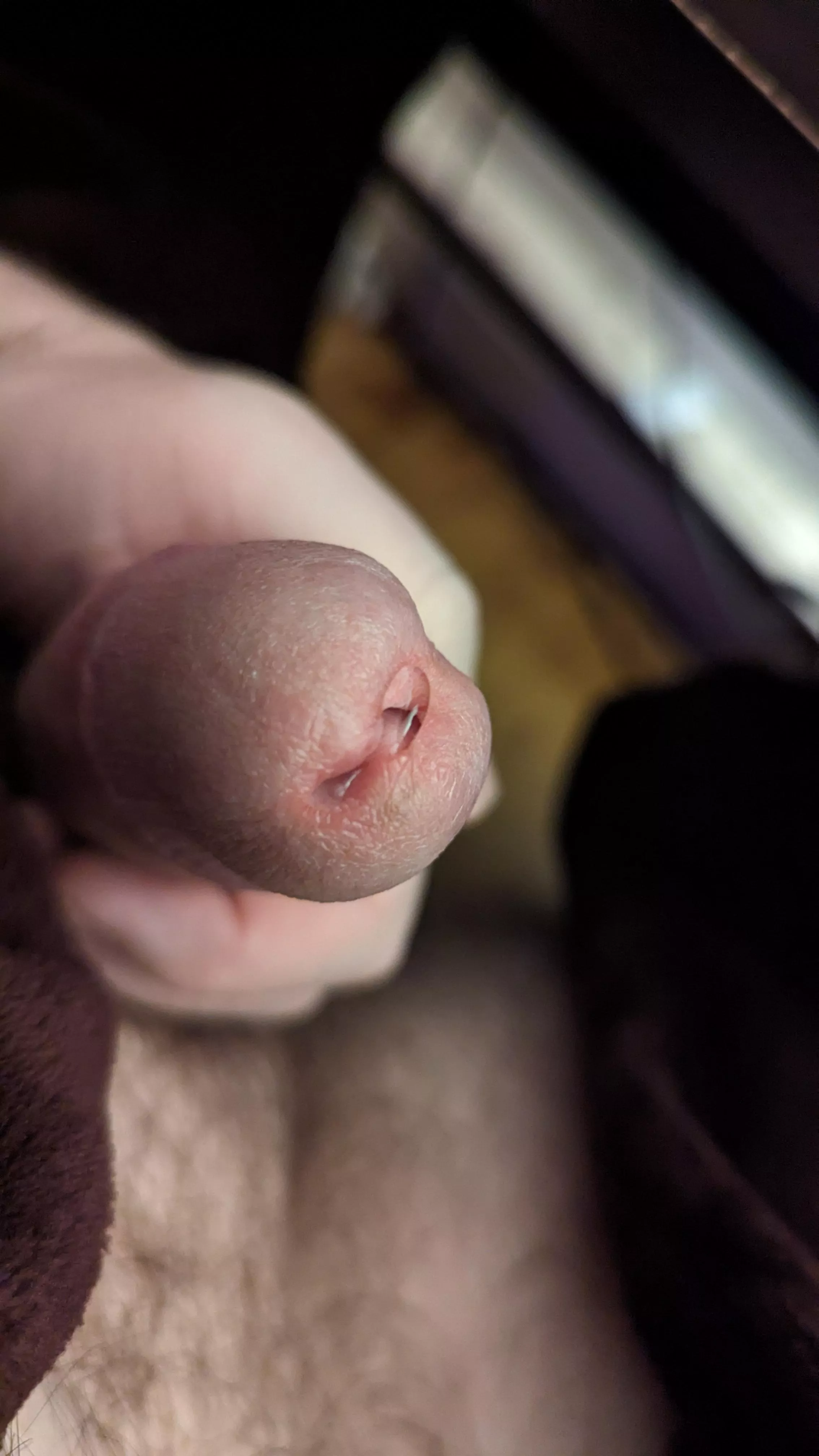 Give it a lick posted by whoits1154