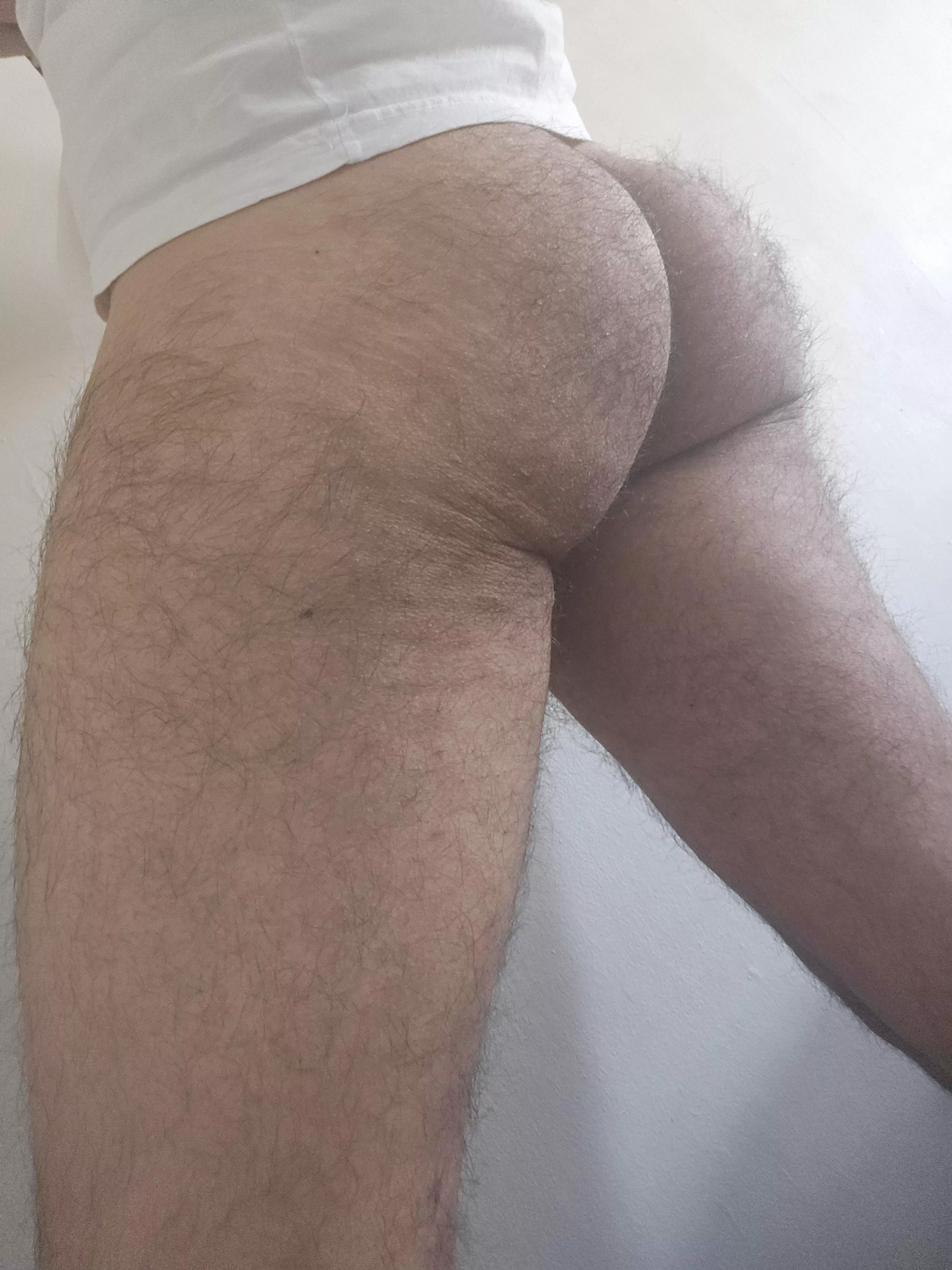 Happy Hump Day! Here's a furry ass posted by Ready2g0_