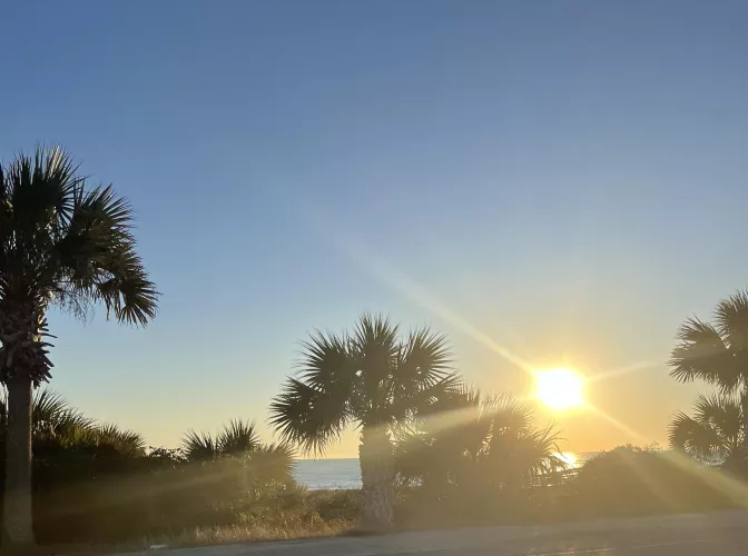 Just another beautiful day at the beach 🏝️ OC by anitajoint-420