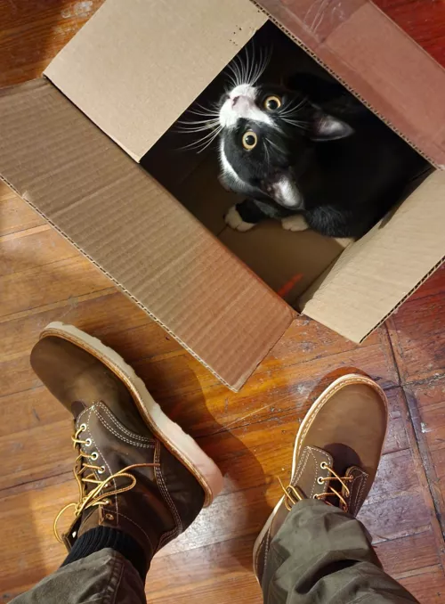 Just goofin by ESBean-