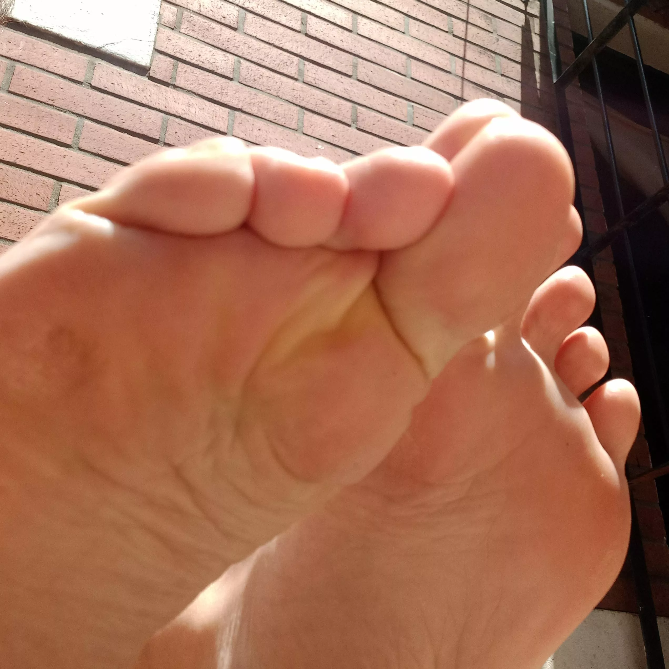 kiss or bite? posted by whitewolf-ww