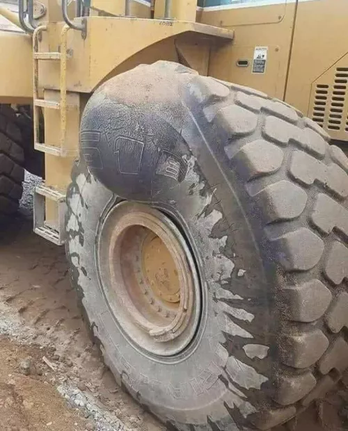 Largest ever forbidden pop? by fridayfrank