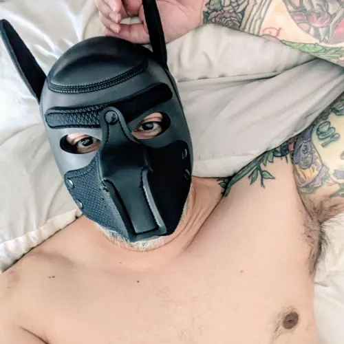 Lazy pup doesn't want to get out of bed. by PawesomeUrsa