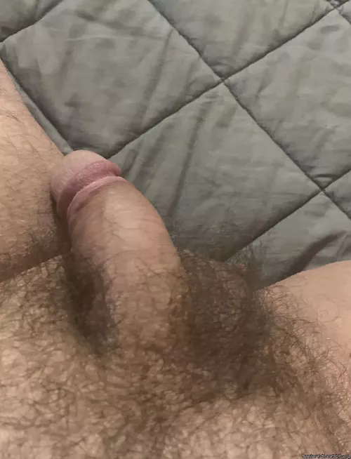 Looking down. by Defiant-Victory-9198