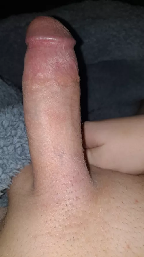 My bottom loves to take my dick, let's find out if you do too~ Dms open by Ok-Enthusiasm9139