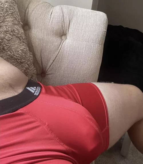 My horse cock stretches everything by Affectionate_Log4000