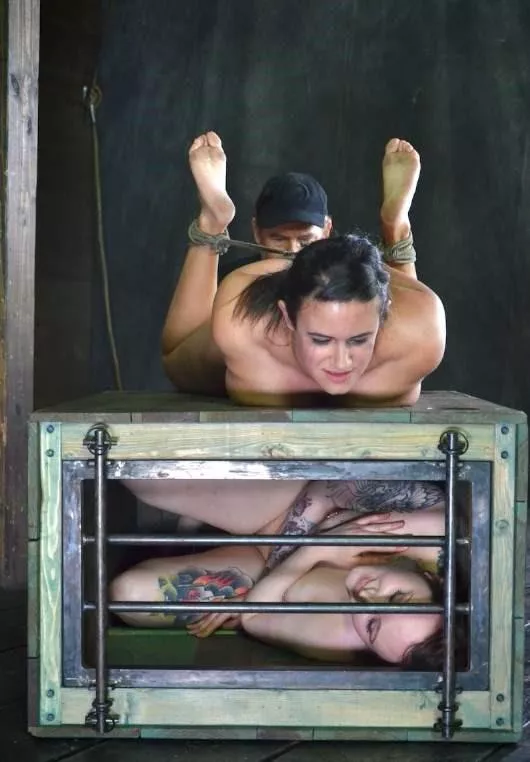 One vintage in the box, one to be played with posted by jgoja