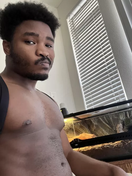 Played pal worlds way to long now I’m expecting my lizard to help me cook by ButterNuttedToast