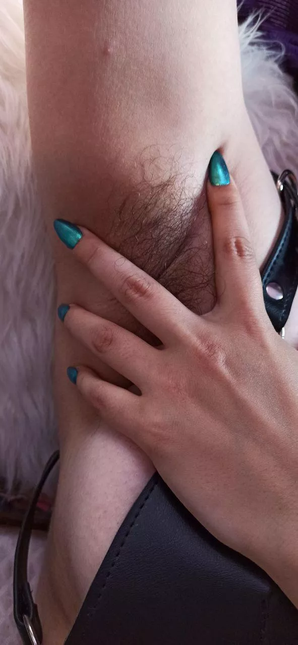 scratching with my claws posted by vickylat