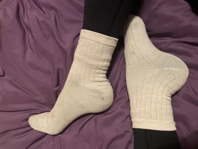 [Selling] I’ve got 4 workouts left this week and lots of different socks available. Let me get a pair nice and stinky for you 😜 [Paypal] [Wishtender] by Squishy_Toaster