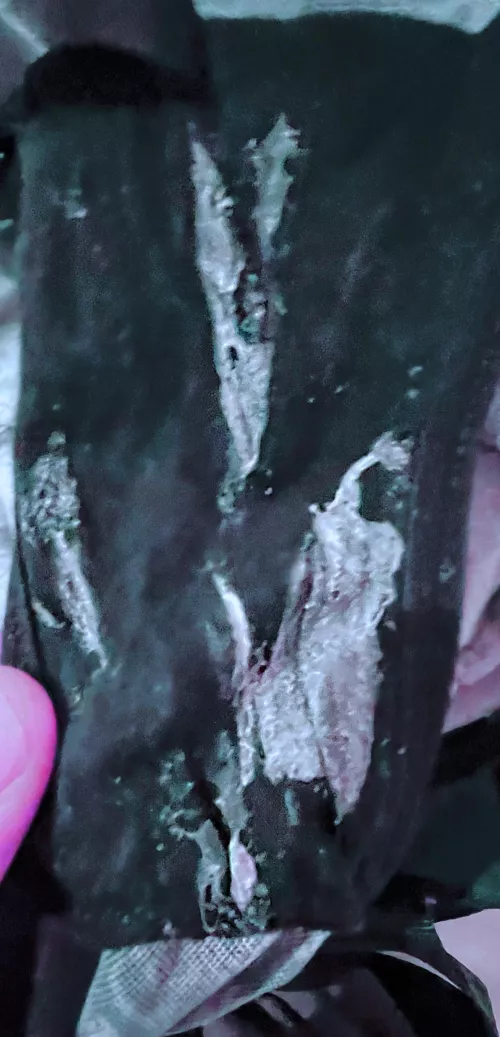 She made a big mess by Own-Assignment-7397