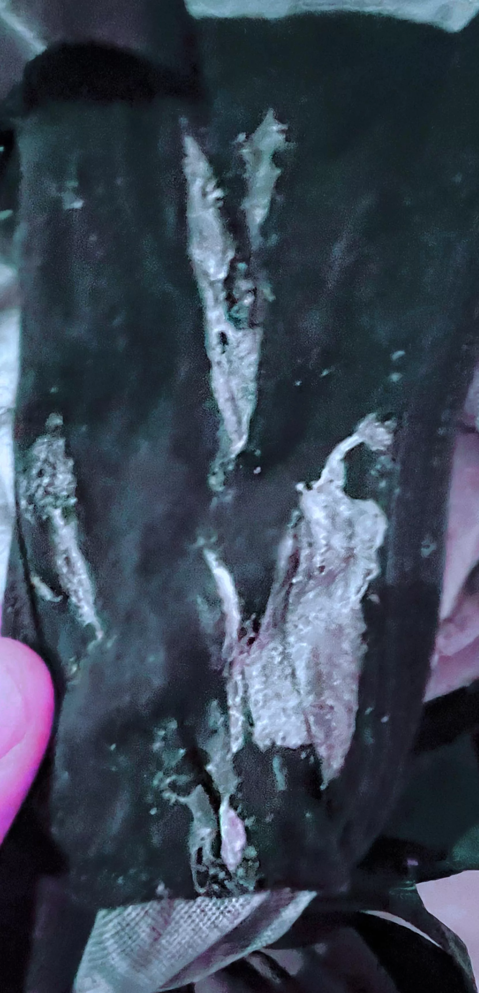 She made a big mess posted by Own-Assignment-7397