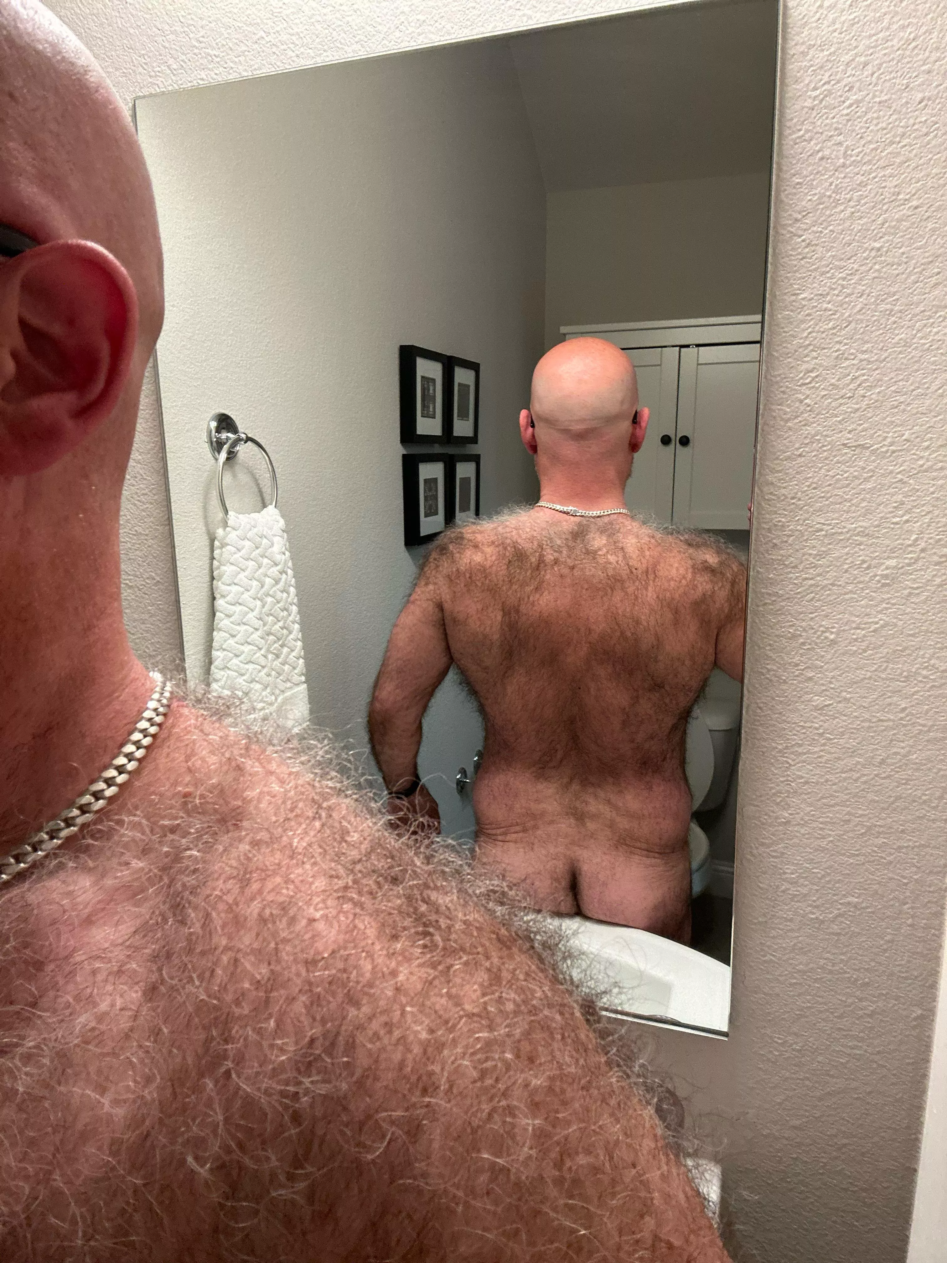 Silverback Gorilla posted by TxHogFan94