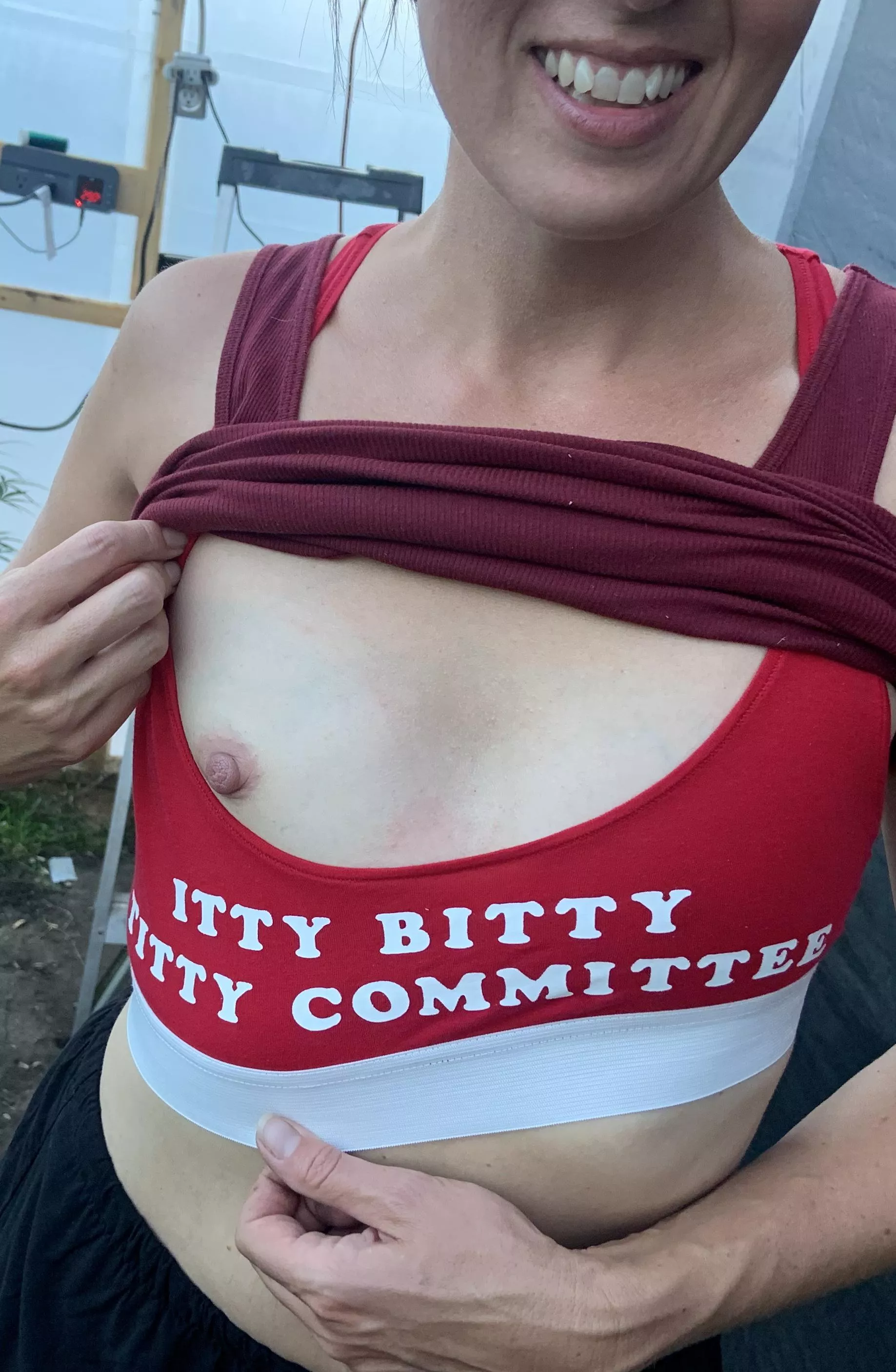 the queen has arrived posted by sister-wives-life