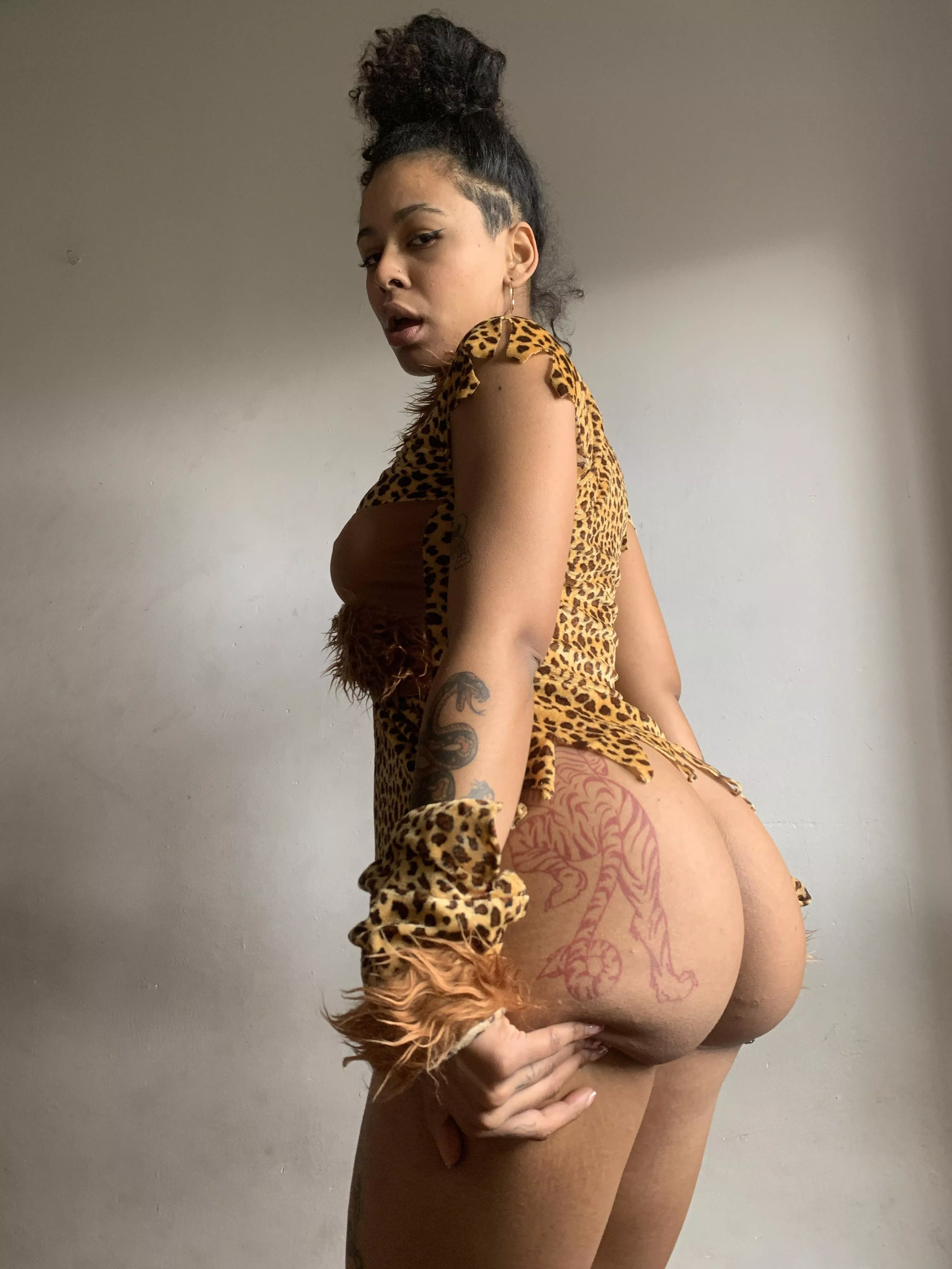 The wildest cat is here to hunt you posted by Bawdycollect715