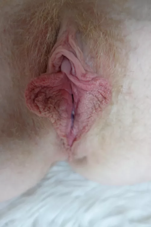 When you were a kid you ran after butterflies and now you do too 😅 by RedWildcatx