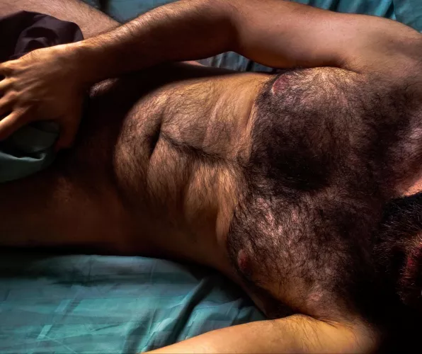 Winter coat by proximal-learning