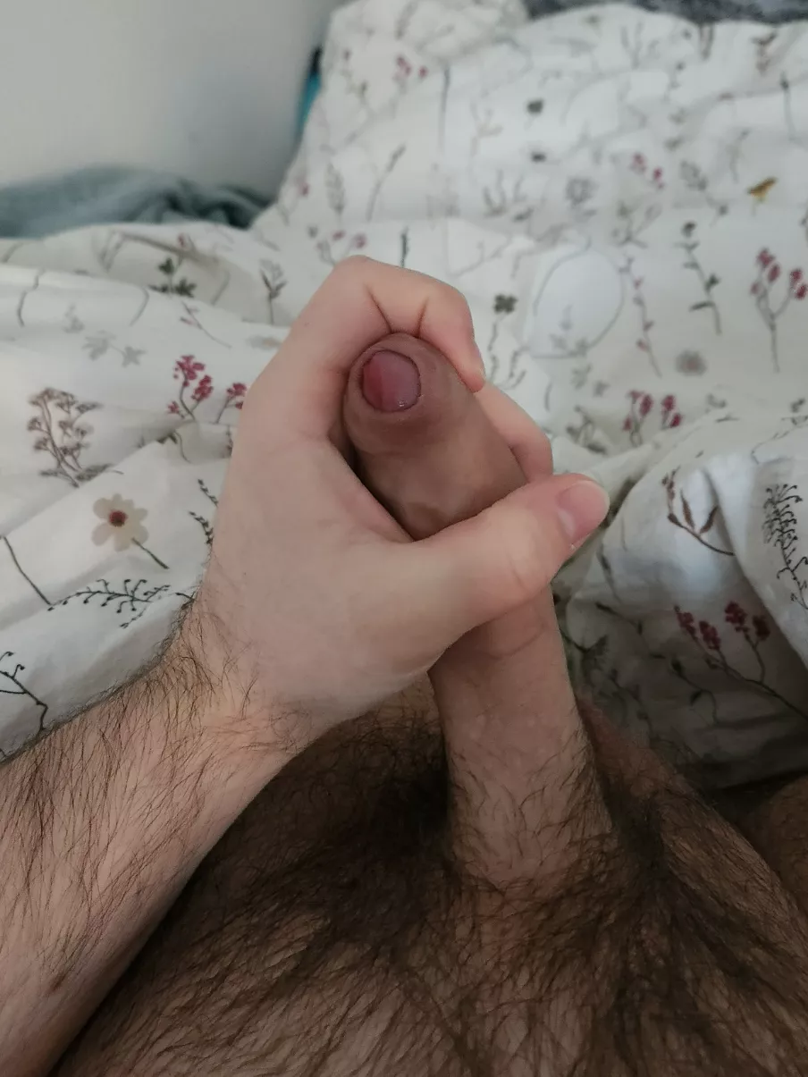 21m vers college guy for chill guys. Trade with face+ hmu matty_hh21 posted by Available_Finding718