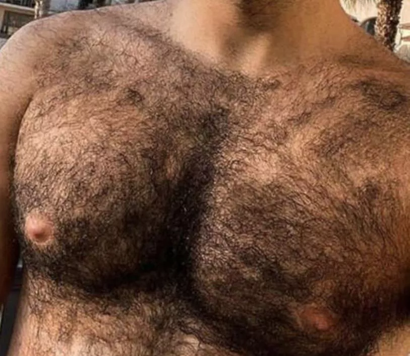 40m hairyhairy11 posted by Afraid-Sir-9897