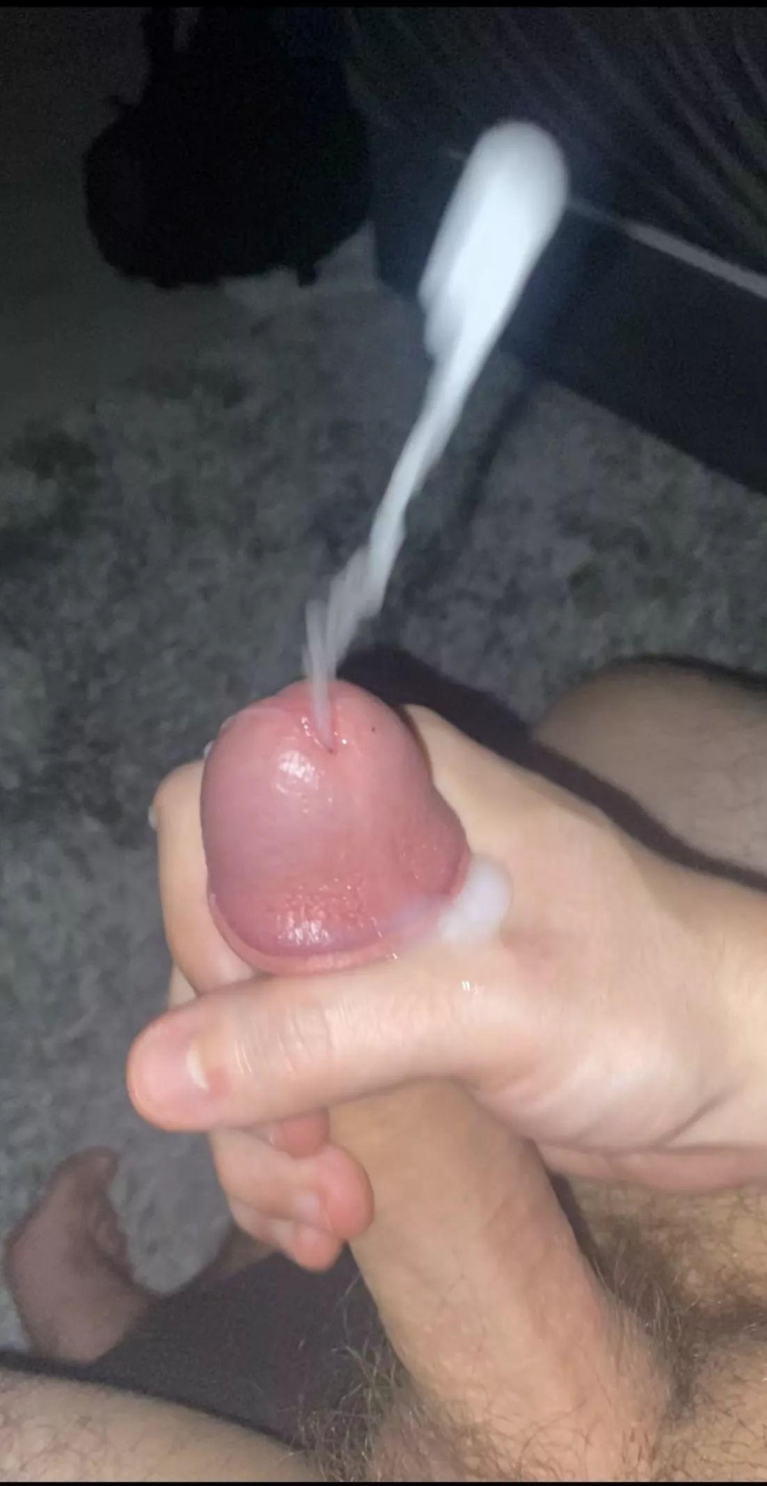 Any volunteers for a creampie? [20] posted by Current-Dog-905
