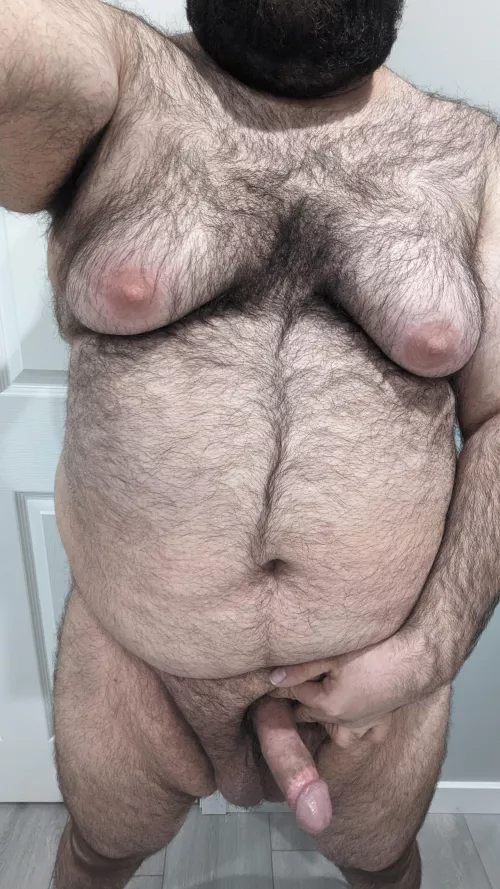 Armenian breeding stud. by NakedMrGamer