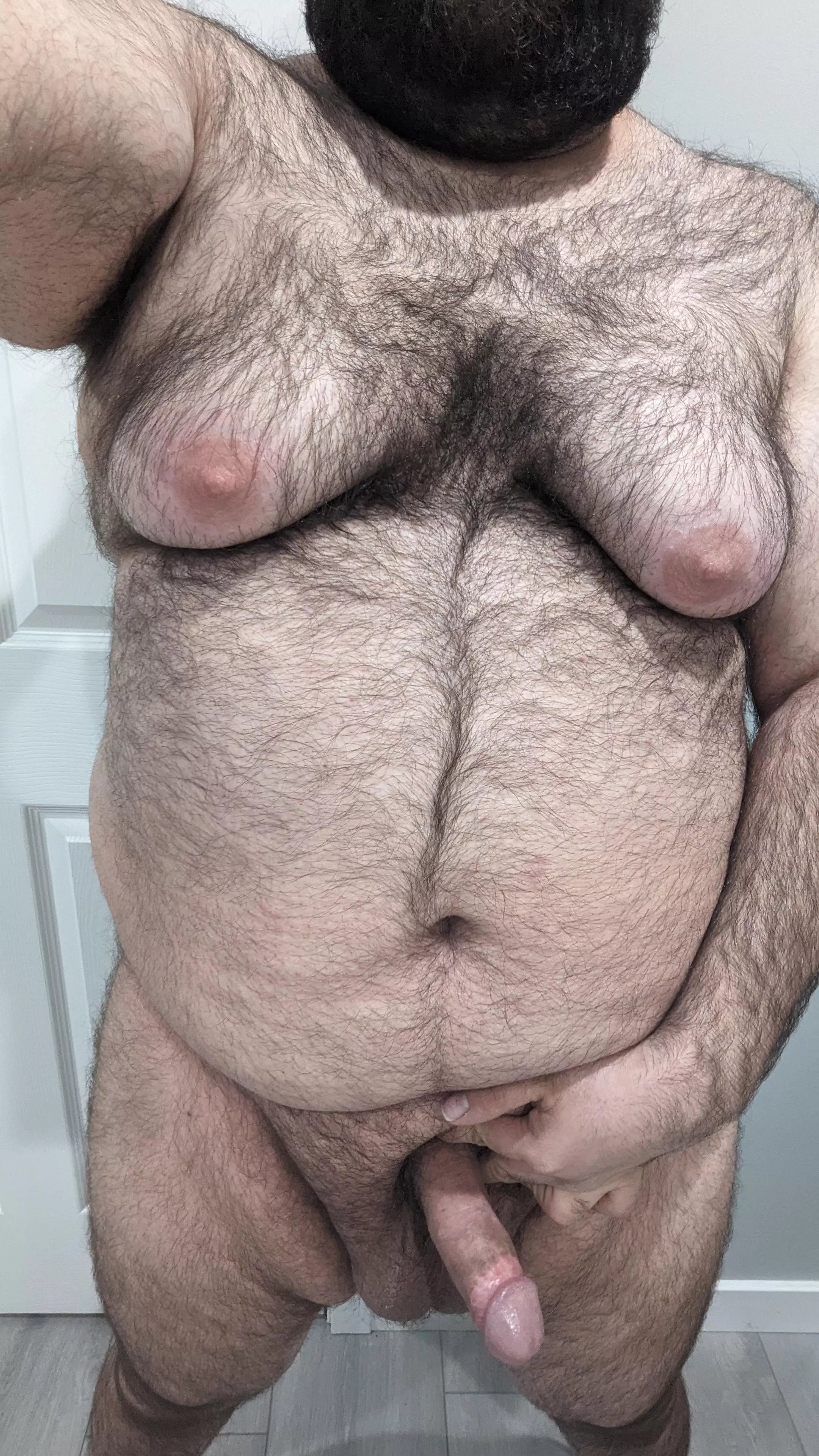 Armenian breeding stud. posted by NakedMrGamer