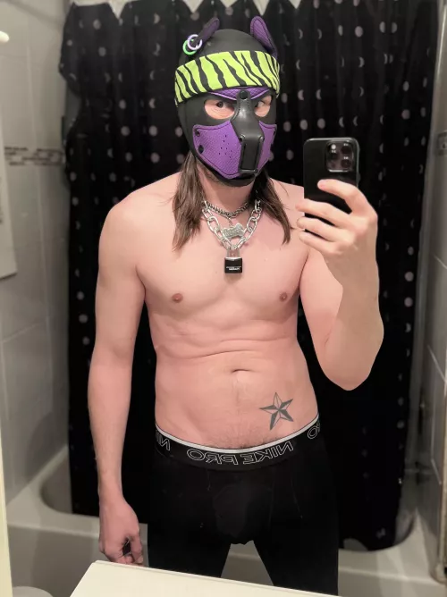 Awruf! Hope your day has been good pups! 🐶 by PupRetRow