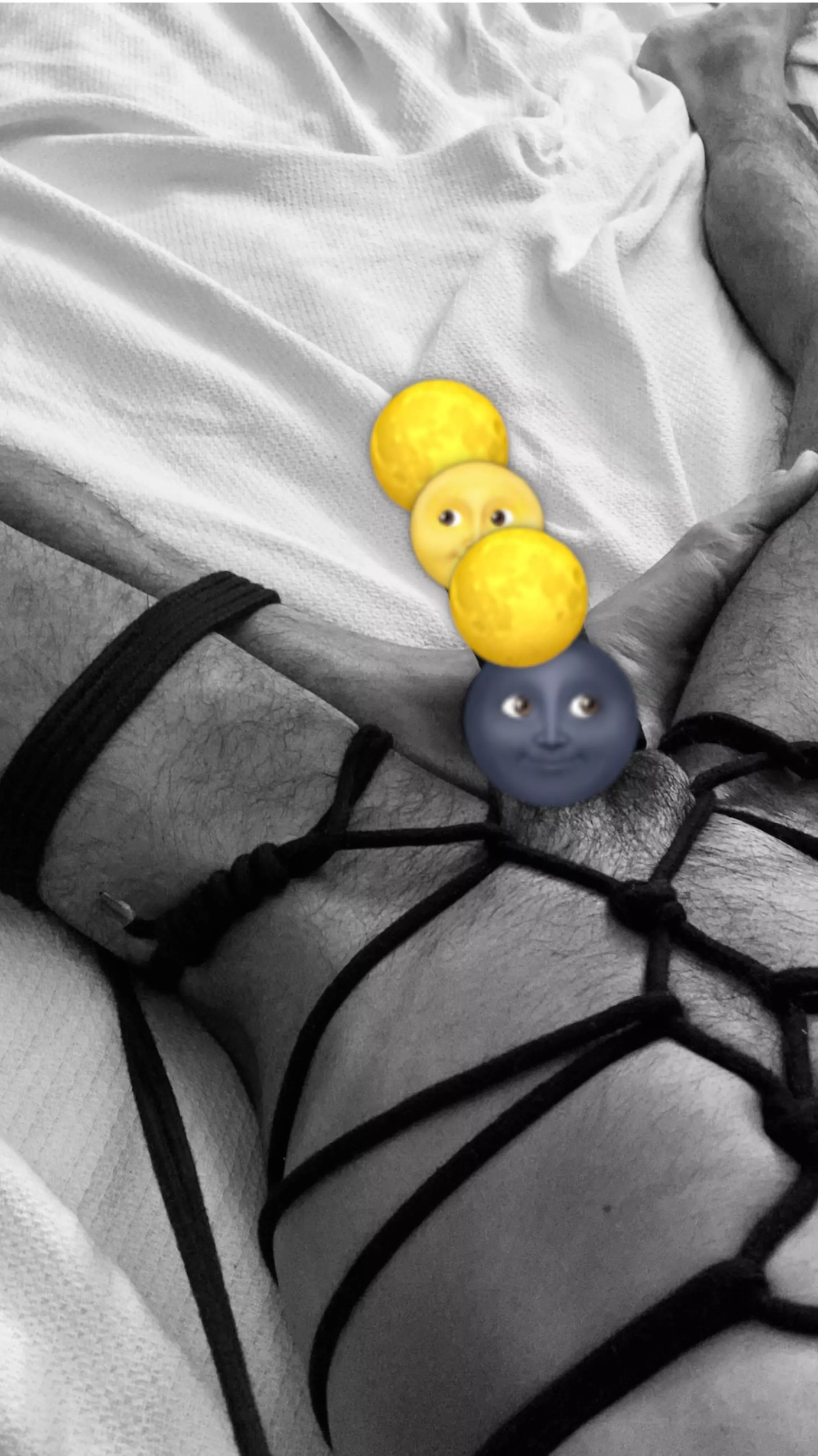 Bound posted by IntroductionBasic587