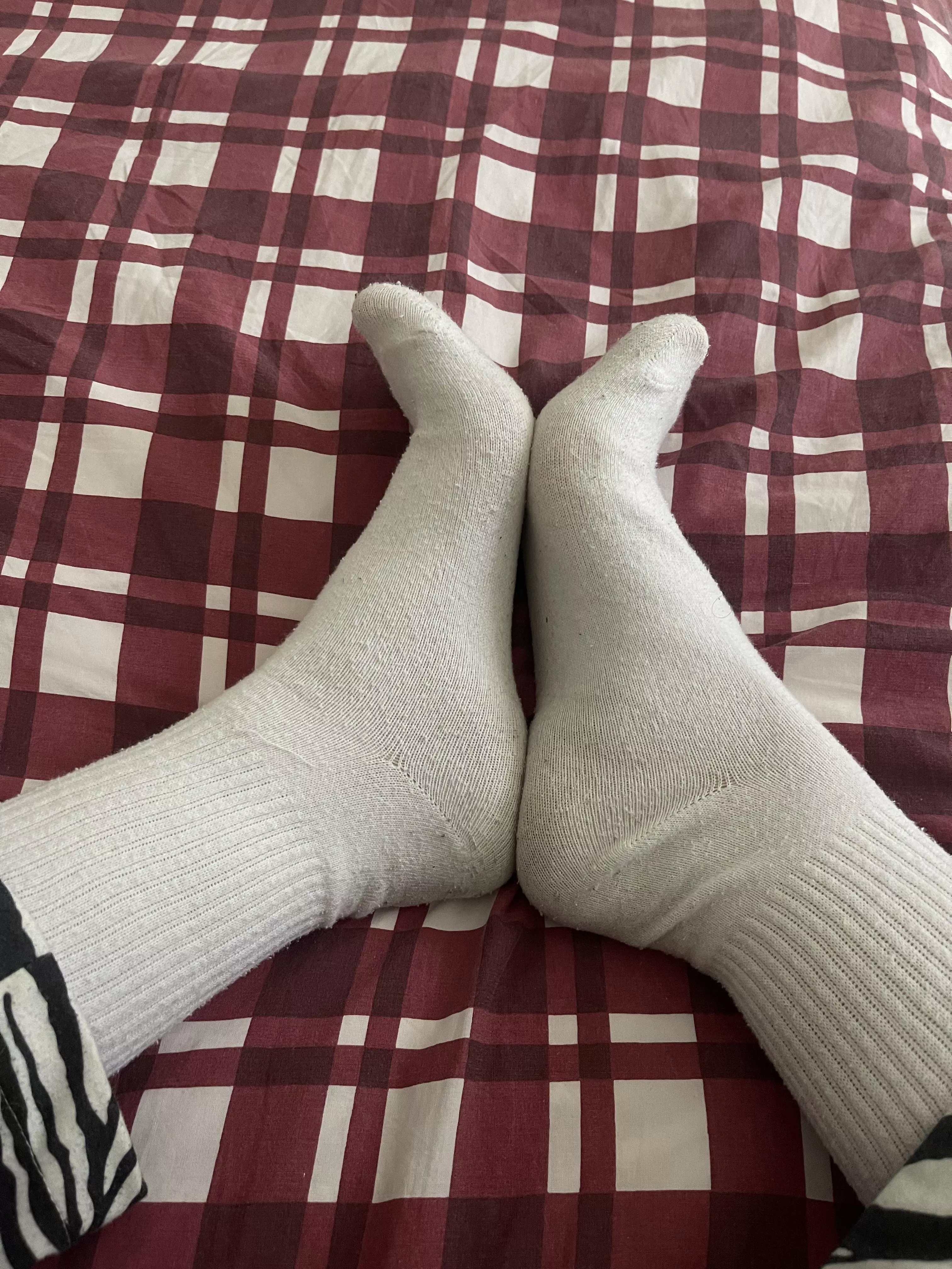 Do you like white socks? posted by Dominika_wilde