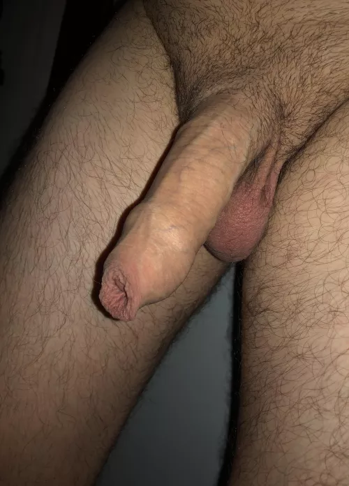 Do you want to see more? by Quick-Ad3848