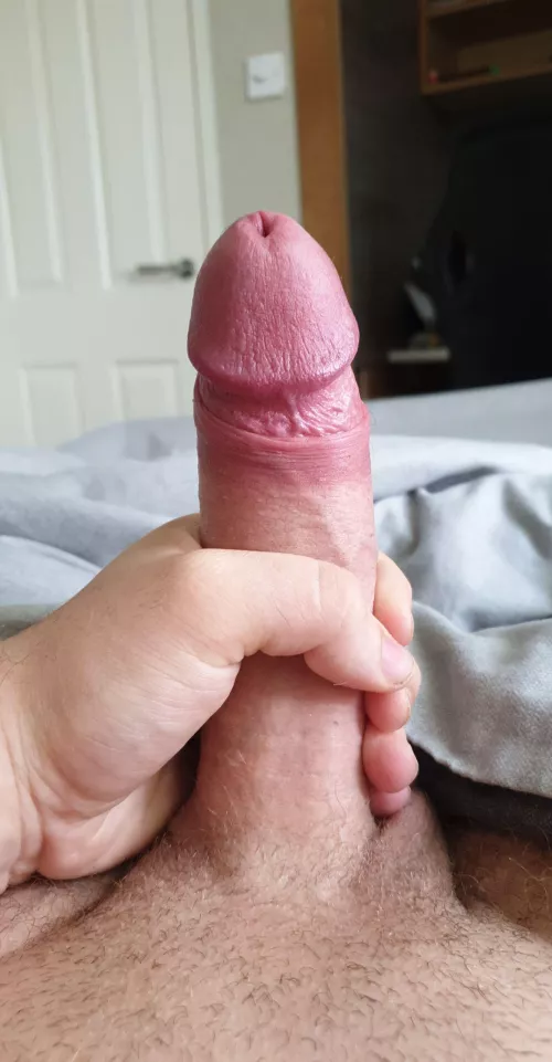 Does it do? by ThrowAwayAcount987