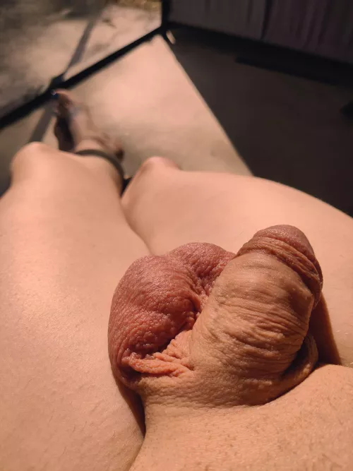 Enjoying the sunset by Sexual_Discharge