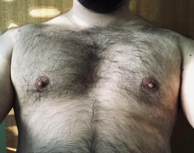 Finally a subreddit that feels like home by duckanor