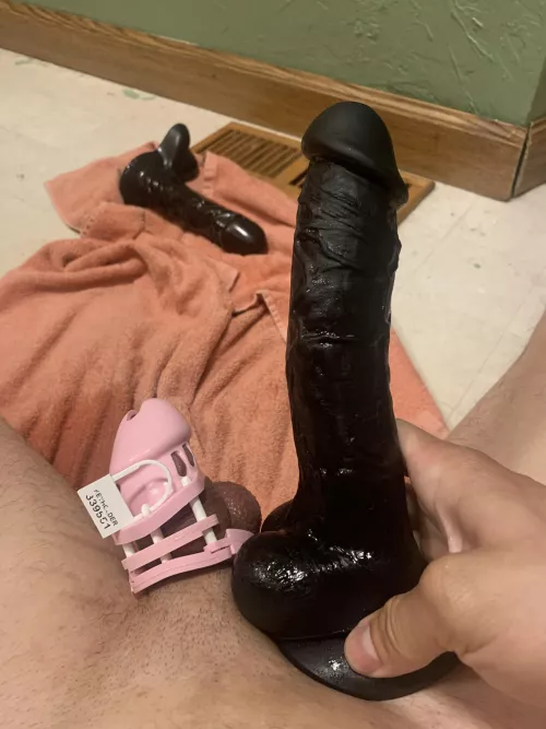 Finally able to take this toy hard on my fuckmachine by sissyboi378