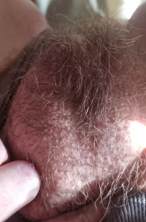 Hehe giving the jungle some Vitamin D at work this afternoon by Angelbydaybutcheeky