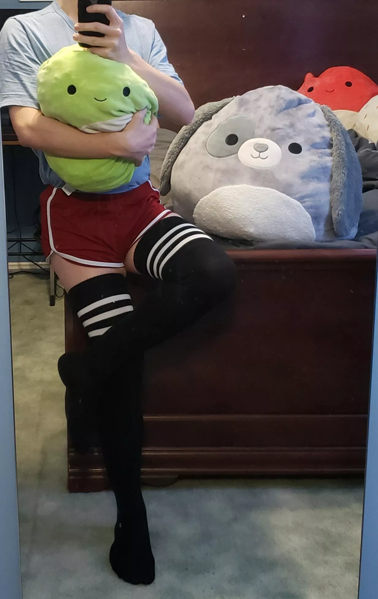 Just me and my squishmallows posted by Accidentalpizzaroll