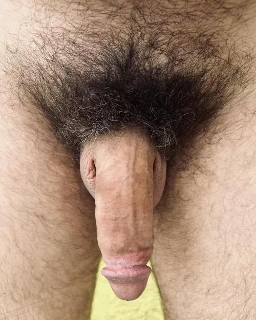 My penis smells like last night's fuck. Wanna suck it clean? by jerseyjaxoff