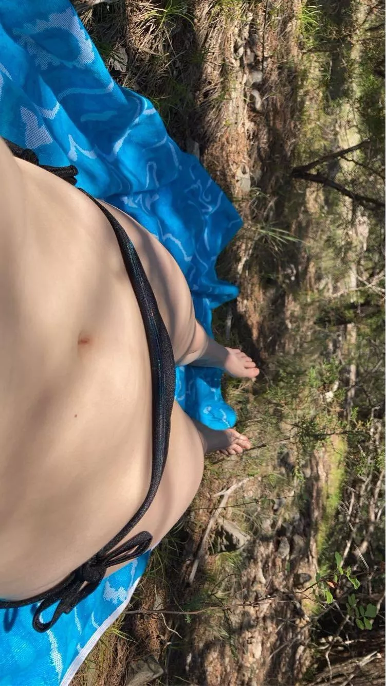 New to reddit first post here posted by sirensSymphony4044