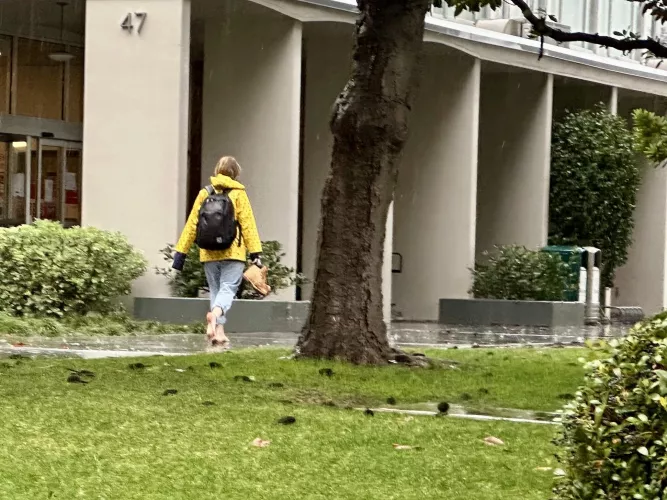 Not sure this is intended use in case of wet conditions (SoCal) by nathanschiro