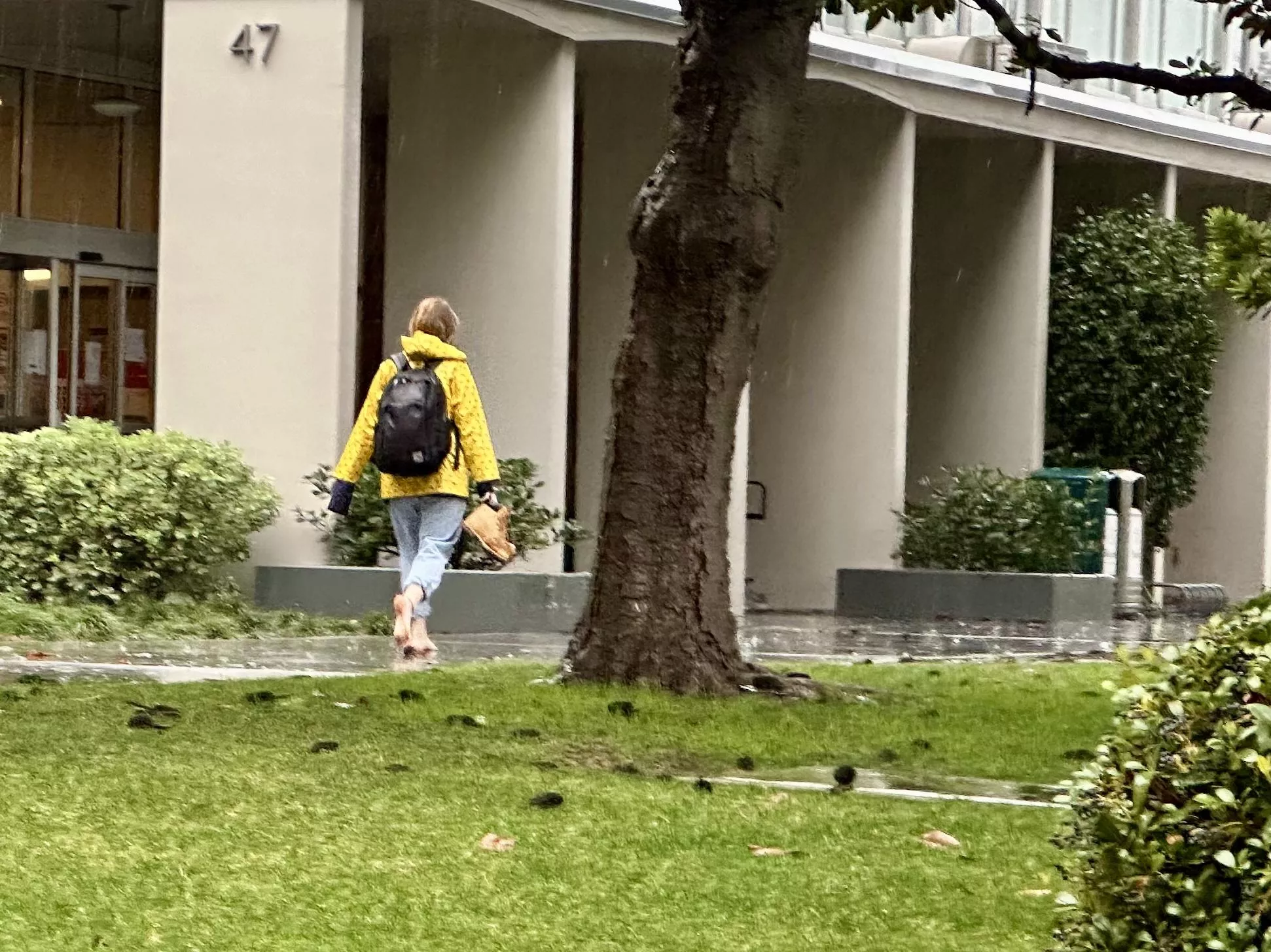 Not sure this is intended use in case of wet conditions (SoCal) posted by nathanschiro