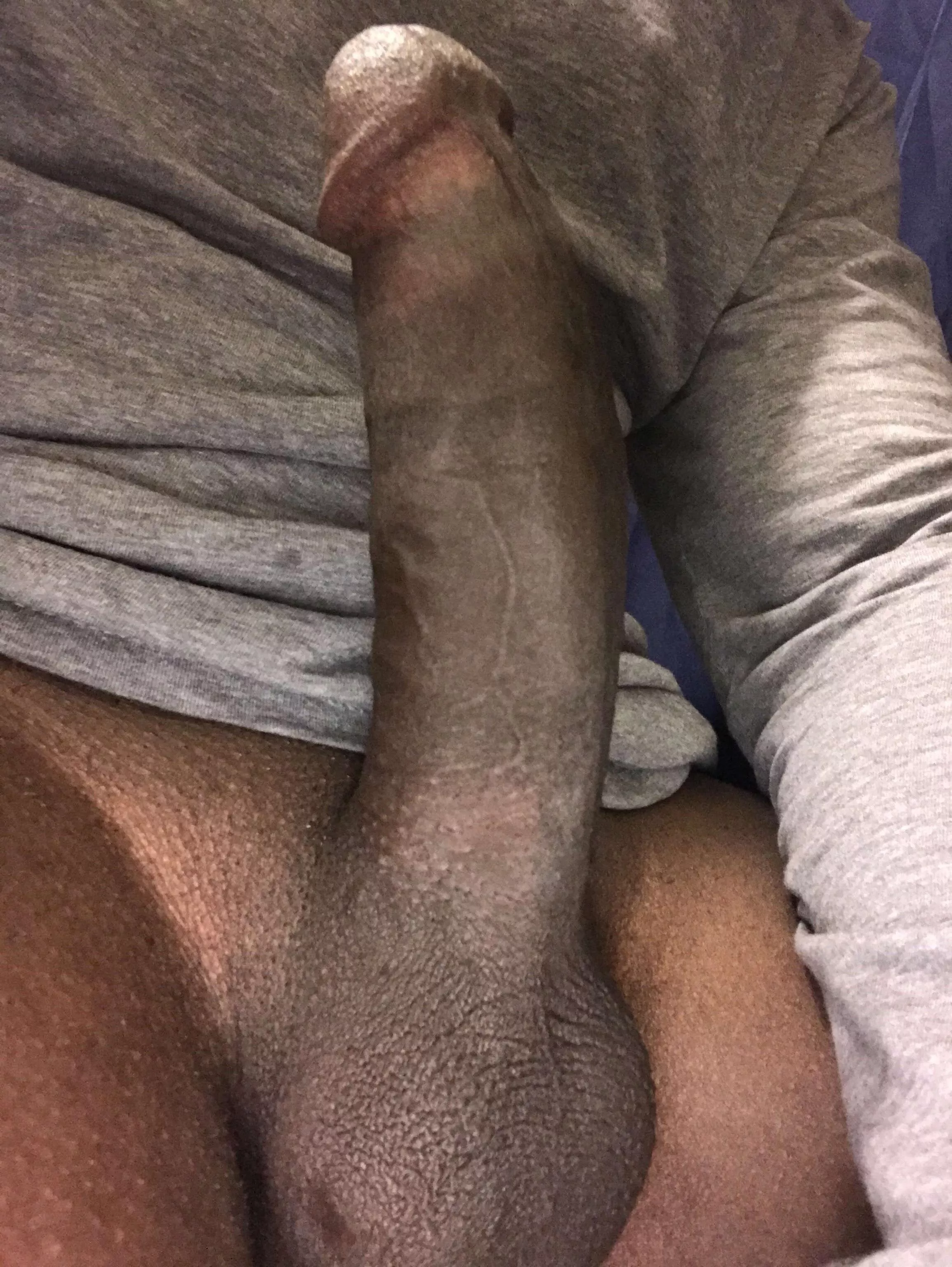 On high alert 🚨 🚨 🚨 posted by Pathagoreanbbc