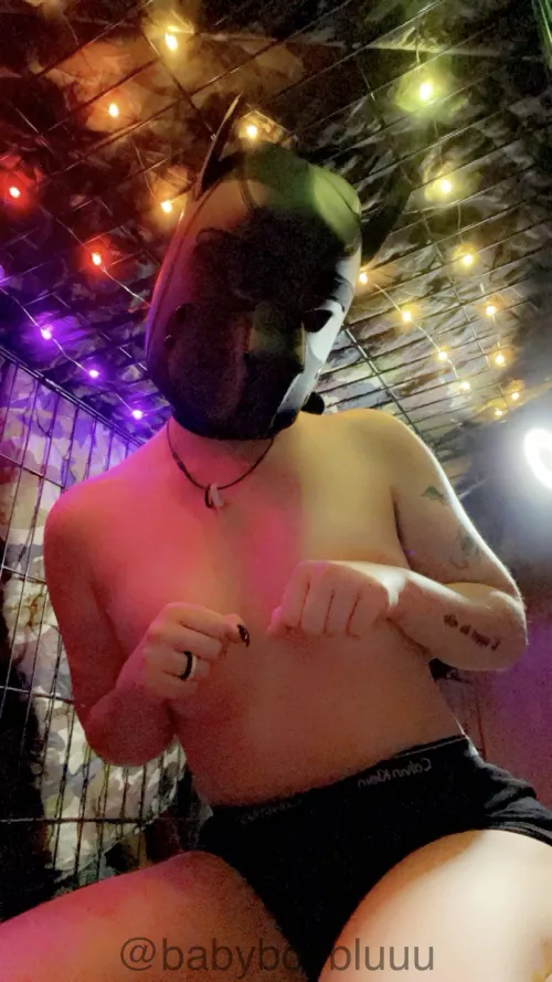 puppy finally got his hood!! >:3 by Overall_Quality_2445