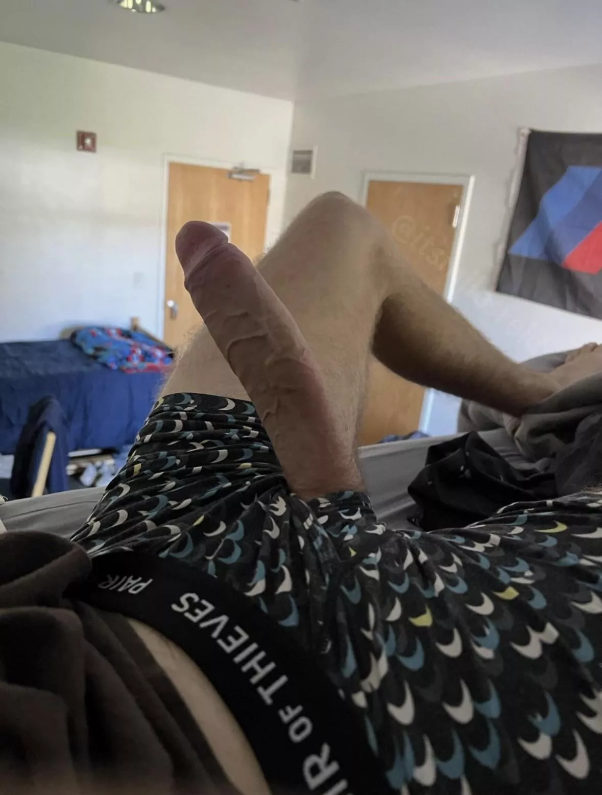 Rise and Shine posted by Horse_Hung11