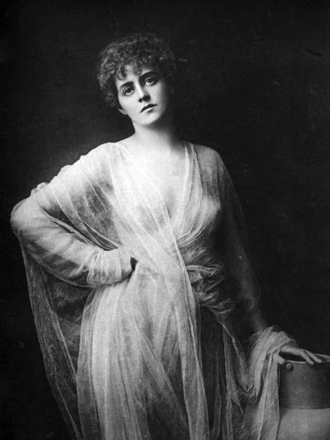 scandalous sheer gown posted by Mundane-Employer-719