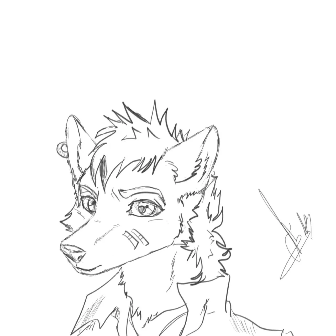 Studies posted by licedrawii