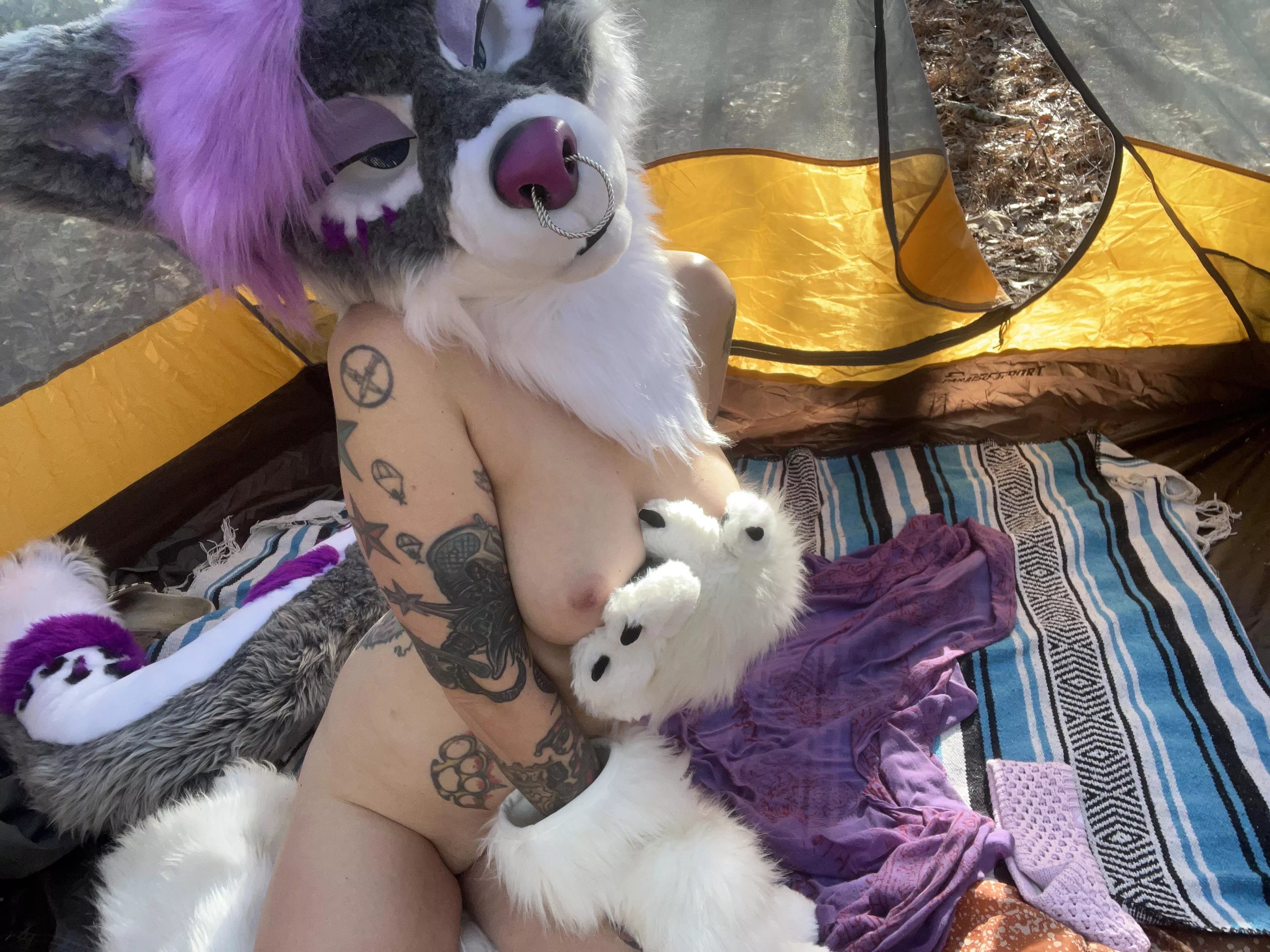 Tent snugs? *twitches tail invitingly * posted by Rayne_Rot